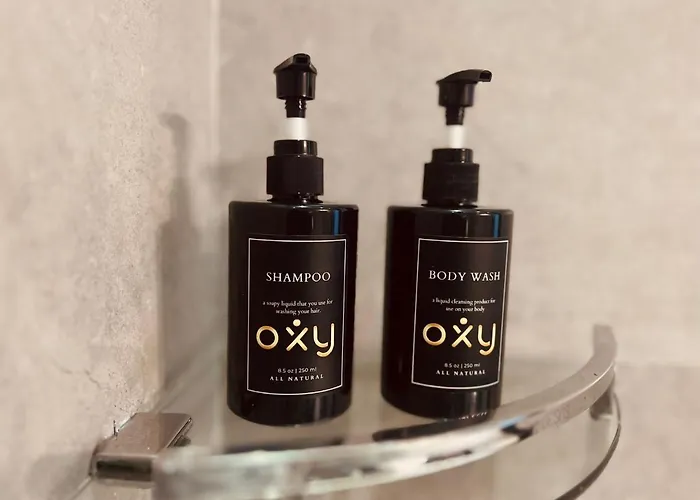 Oxy Suites 2-06 At Shop House Meisterstadt Pollux Habibie